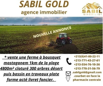 Vente Terrain Agricole Mostaganem Mostaganem