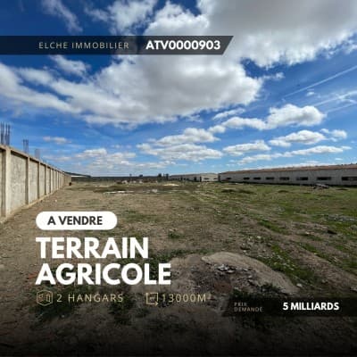 Vente Terrain Oran Tafraoui