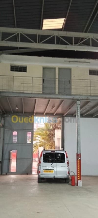 Vente Hangar - Usine Alger Rouiba