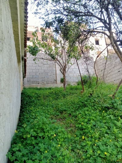 Vente Villa Béjaïa Bejaia