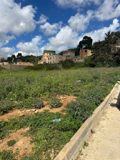 Vente Terrain Alger Birkhadem