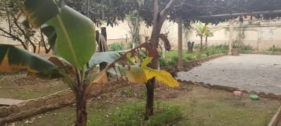 Vente Villa Alger Baba hassen