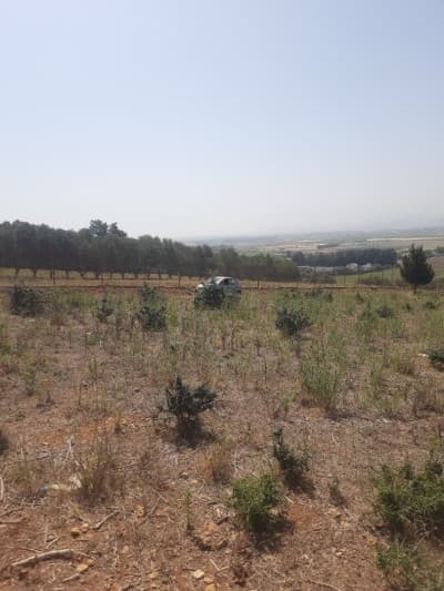Vente Terrain Tipaza Sidi rached