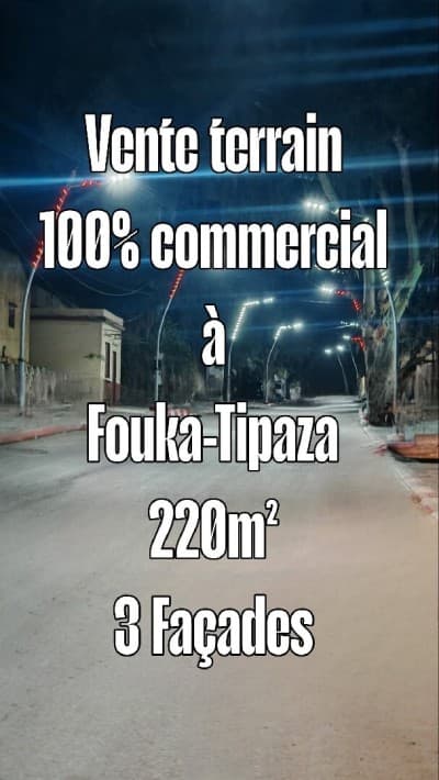 Vente Terrain Tipaza Fouka
