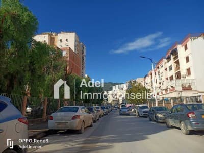 Location Local Annaba Annaba