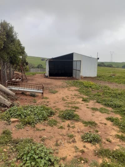 Vente Terrain Agricole Tipaza Ain tagourait