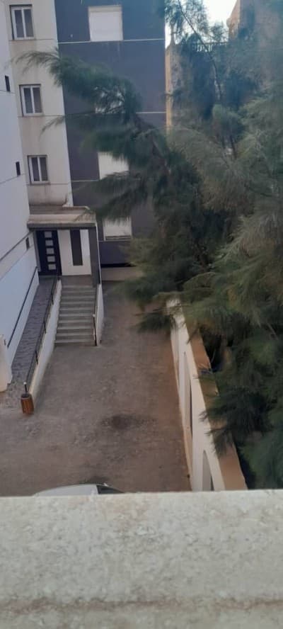 Location Appartement F4 Tipaza Fouka