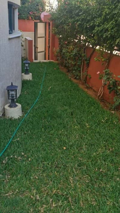 Location Villa Alger Cheraga