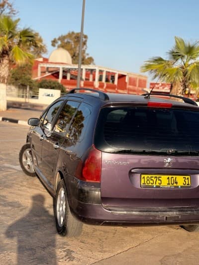 Peugeot 307 sw 2004 Sw