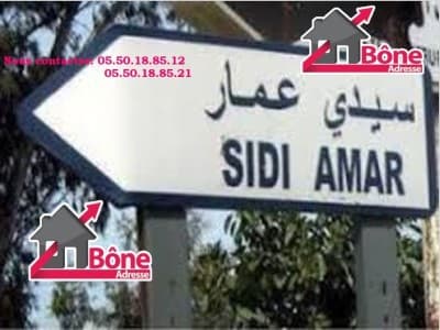 Vente Hangar - Usine Annaba Sidi amar