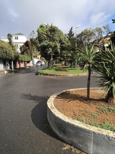 Vente Villa Alger Bouzareah