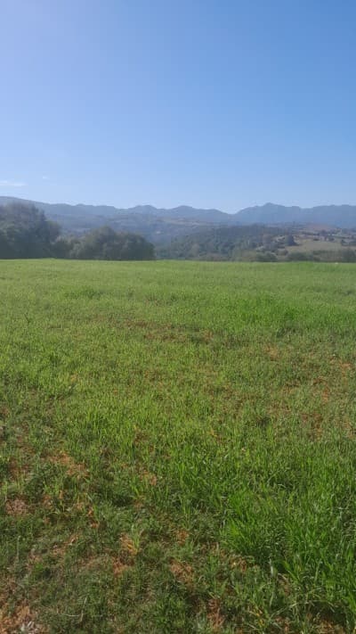 Vente Terrain Tipaza Meurad
