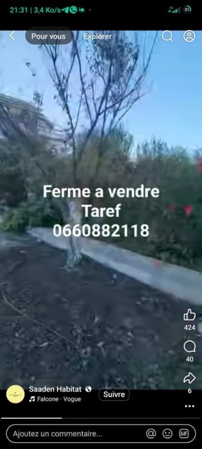 Vente Terrain Agricole El Tarf Bouteldja