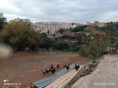 Vente Terrain Alger Ain naadja