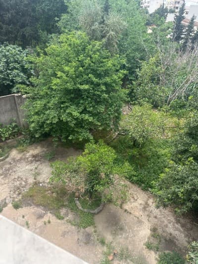 Location Villa Alger Hydra