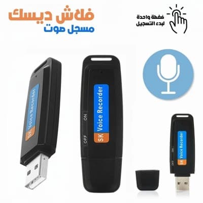 Enregistreur Vocal Flash Disque USB