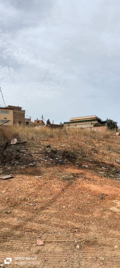 Vente Terrain Alger Saoula