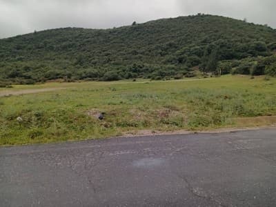 Vente Terrain Boumerdès Tidjelabine
