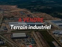 Vente Terrain Oran Es senia