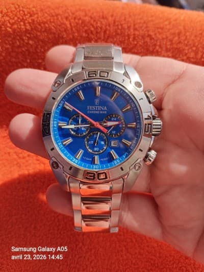 Festina F20543