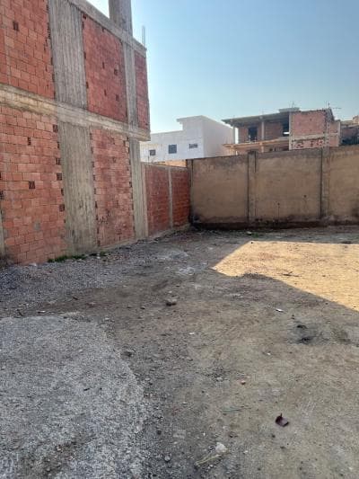 Vente Terrain Blida Ben khellil