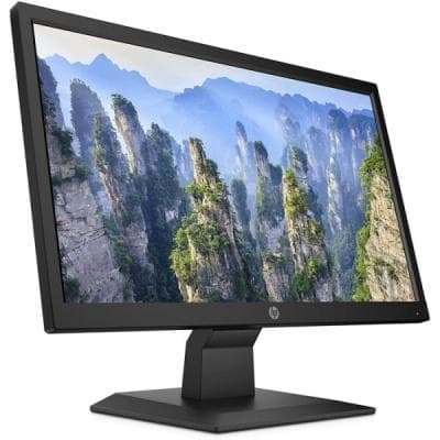ECRAN HP P204v 20"