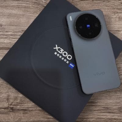 Vivo x300