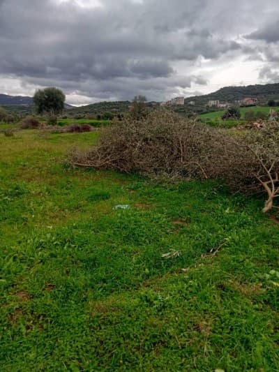 Vente Terrain Tizi Ouzou Tizi rached