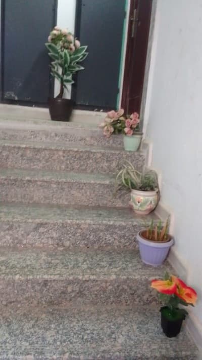 Vente Appartement F2 Alger Staoueli