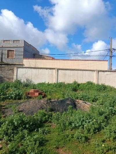 Vente Terrain Tipaza Fouka