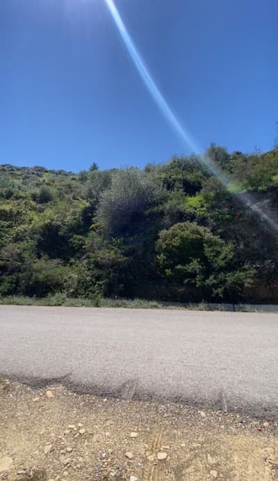 Vente Terrain Boumerdès Ammal