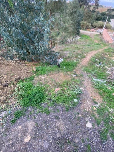 Vente Terrain Boumerdès Tidjelabine