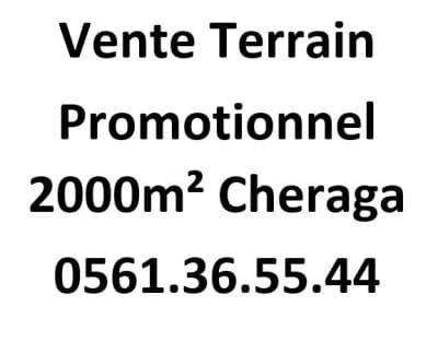 Vente Terrain Alger Cheraga